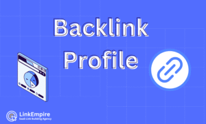 What is a backlink profile?